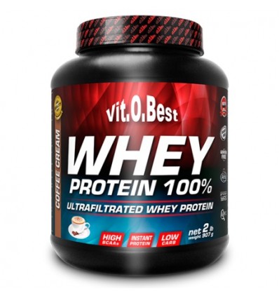 whey protein 100%